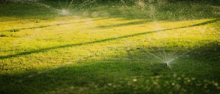 Montar un sistema de riego para tu jardín paso a paso